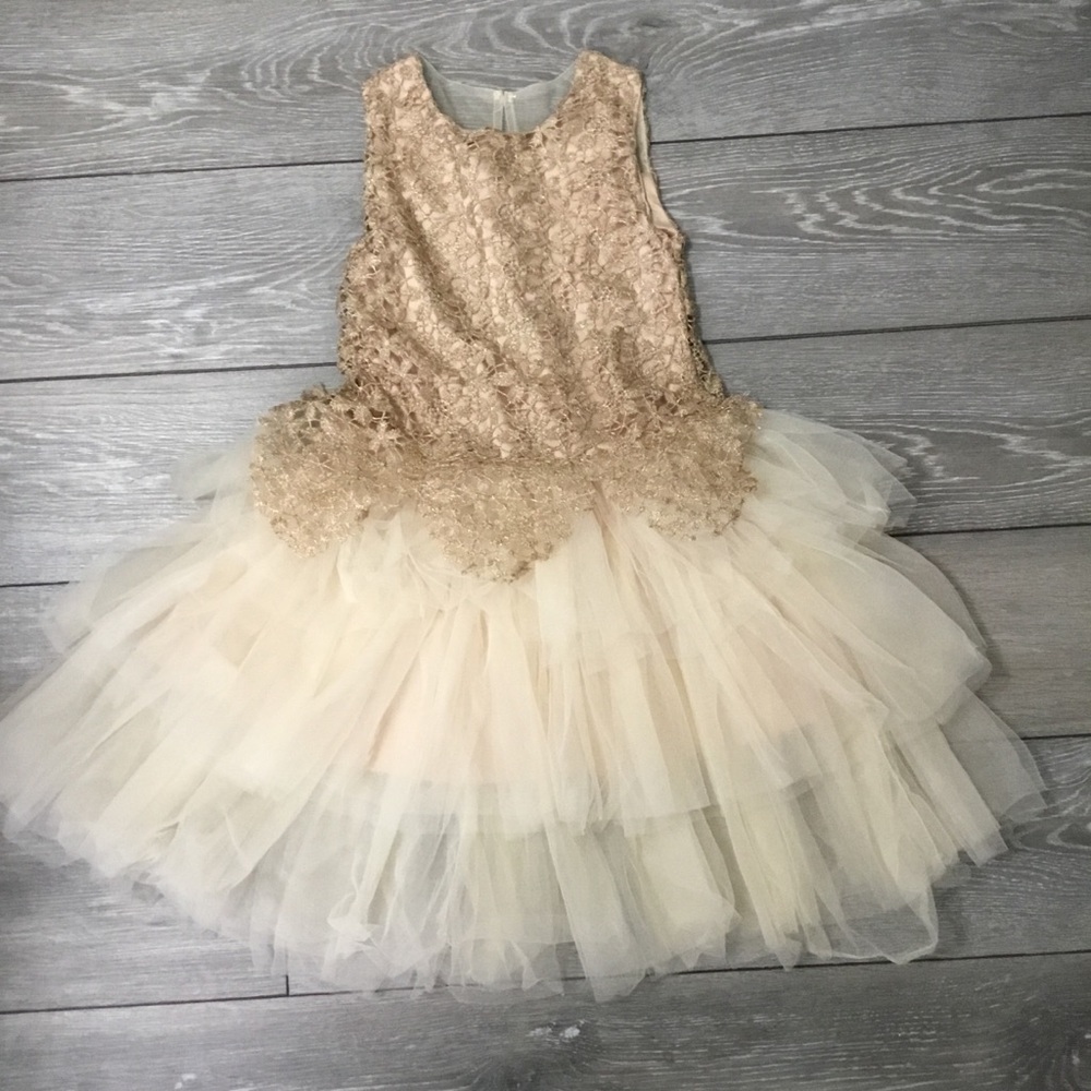 NWOT Trish Scully Formal Flower Girl FairyCore Lace Tulle Dress size 12